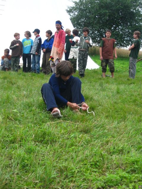 img00077.jpg